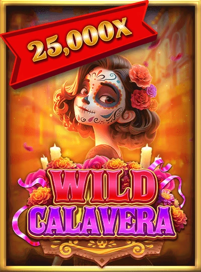 33wmb